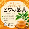 Gentle Non-Caffeine, Biwa Leaf Tea, 0.07 oz (2 g) x
