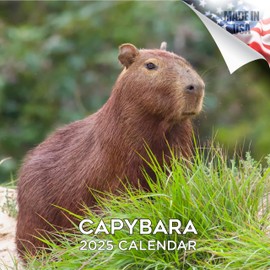 2026 Capybara Monthly Wall Calendar - Wildlife Calendar - 12 x 24 Open - Thick No-Bleed Paper - Giftable - Academic Teacher's Planner Calendar Organizing & Planning Calendar
