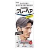 Hoyu Men's Bigen Gray Hair, Natural Gray, 1.4 oz (40 g) + 1.4 oz (40 g) x 3 Piece Set