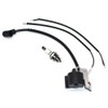 Ignition Coil Module with Spark Plug BM6A Fits McCulloch 333