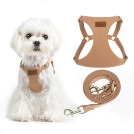 PUPTECK Dog Harness and Leash Set Small Sized, Step-in Cute Puppy Harness, Soft Lightweight Padded Vest, Escape Proof No Pull Pet Harnesses Easy for Walking, Khaki, XXS