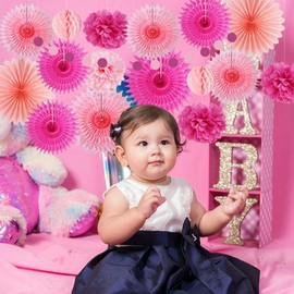 Hot Pink Paper Fans Decorations Rose Hot Pink Tissue Paper Pom Poms Honeycomb Balls Fuschia Pink Party Decorations for Light Pink Baby Shower Bridal Shower Wedding Nursery Birthday Party Home Room