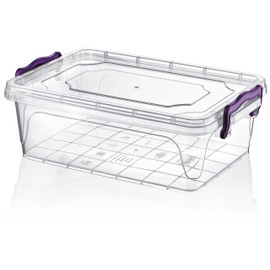 HOBBY LIFE 6 Litre 1-Piece Plastic Rectangular Multi-Box