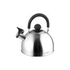 Brunner Dayo Kettle, Polished Steel