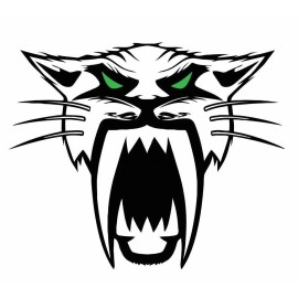 American Arctic Cat Decal