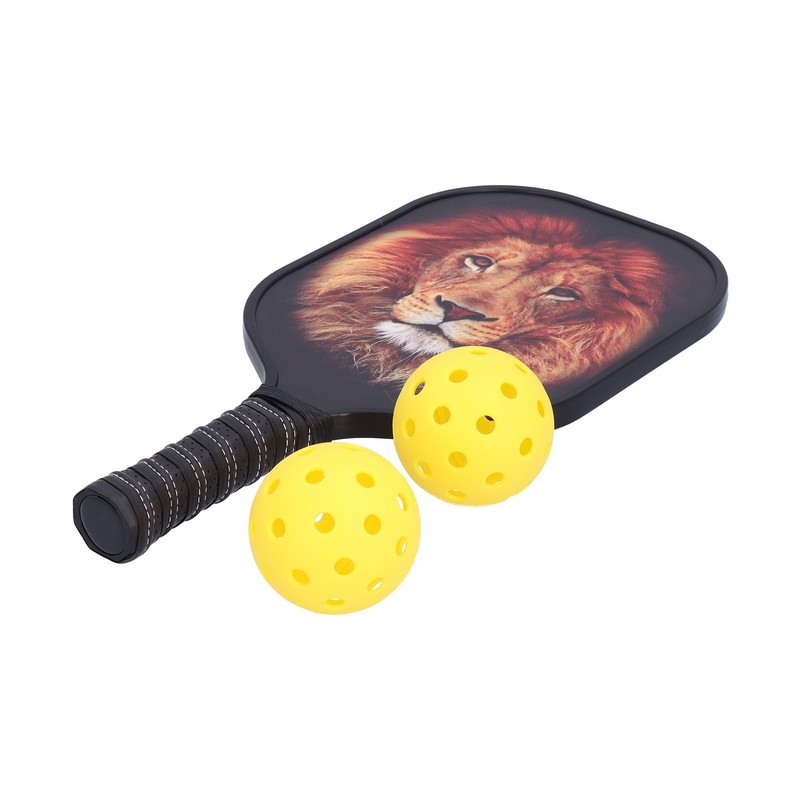 LEIJIAER Pickleball Paddle Set Carbon Fiber Face Racket with 2Pcs