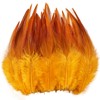 Feathers for Crafting,240pcs 5-7inch Golden Yellow Craft Rooster Feathers,Saddle Hackle