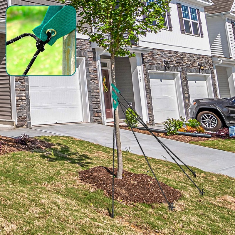 Pack 18 Heavy Duty Steel Tree Stake Kits with Tree