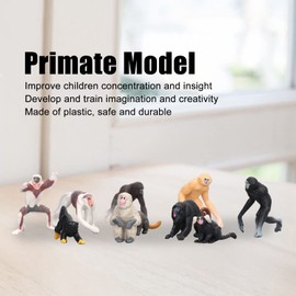 NOENNULL Monkey Model Set, 10pcs Small Monkey Figurines Primates Figurines of Various Monkeys Realistic Animal Figure Early Educational Toys Science Project for Kids