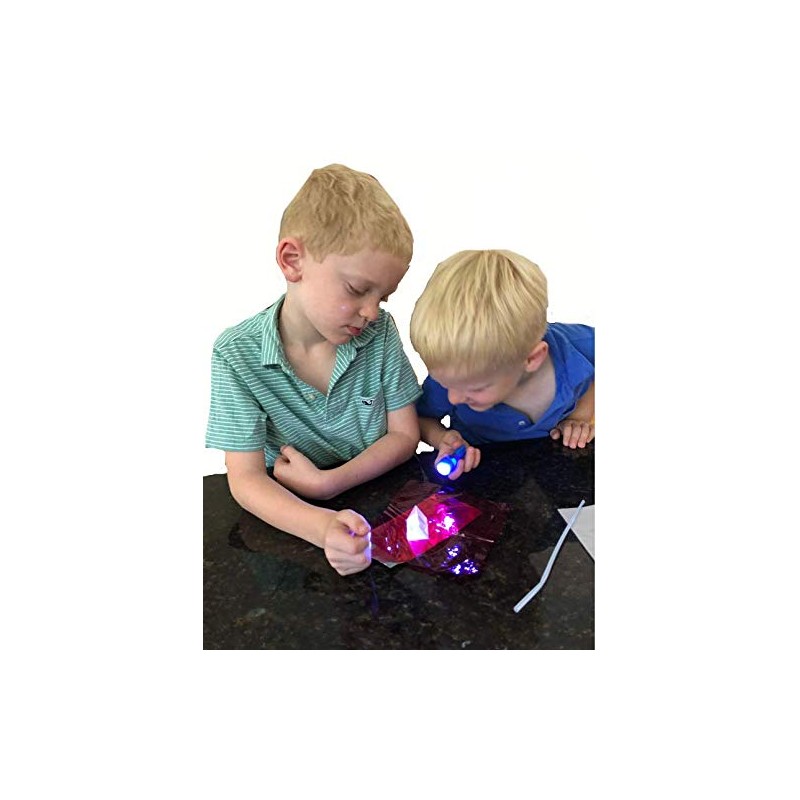 Young Scientists Series - Bones & Muscles, The Senses and