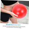 BIUDECO 2pcs PVC Pilates Ball for Strength Yoga Exercise Ball