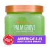 TREE HUT, Shea Sugar Scrub Palm Grove, Exfoliante Corporal con