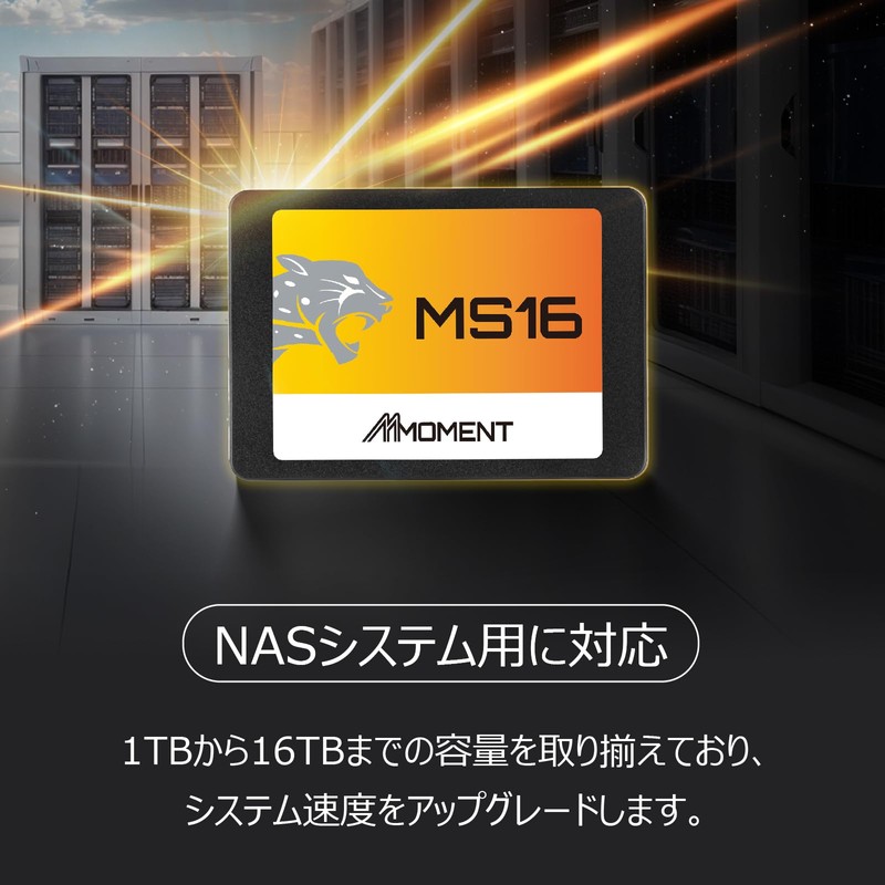 [Made in Taiwan] MMOMENT MS16 256GB 2.5 inch SSD SATA3