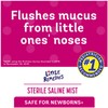 Little Remedies Sterile Saline Nasal Mist, Safe for Newborns, 3