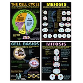 McDonald Publishing MC-P127 Cells Teaching Poster Set, Set of 4