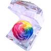 Floral Babydoll Preserved Flowers Rainbow Rose Jewelry Case