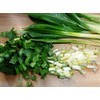 Wild Garlic Ramsons Bear Leek Wild Onion Seeds for Planting