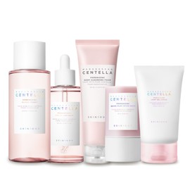 skin1004 Skin Angel Poreizing 5-piece set - toner, ampoule, cream, quick clay stick mask, deep cleansing foam / 스킨천사 포어마이징 5종세트 - 토너,앰플,크림,퀵클레이스틱마스크,딥클렌징폼