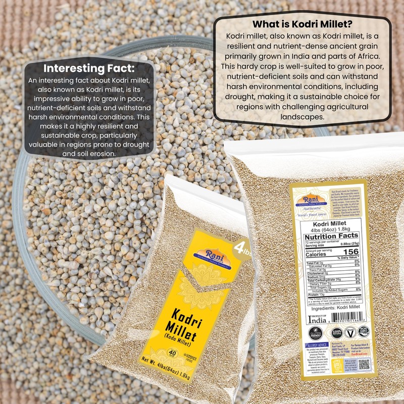 Rani Kodri (Polished Kodo Millet Seeds) Ancient Grains, 64oz (4lbs)