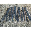 Windmill-Parts.com 8ft Flint & Walling Steel Star, Model 7 & 9 Windmill Wheel Arm Spoke, 1 or more