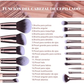 Brochas de Maquillaje Profesional 25 Piezas kit,Con 1 Soporte Para Brochas De Maquillaje,5 Puff Set Y 18 Piezas Brochas,Set de brochas cosmticas...   