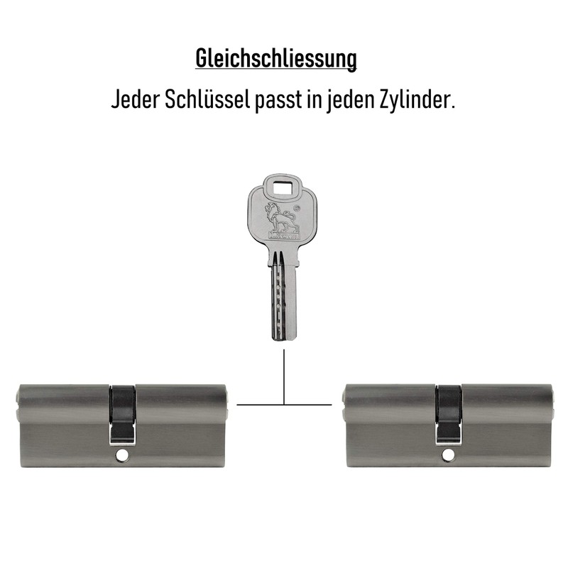 Löwen Sicherheit 2x Profile Cylinder Lock 90 mm 45/45 Simultaneous
