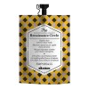 The Renaissance Circle Mascarilla Reparadora Davines® 50 Ml