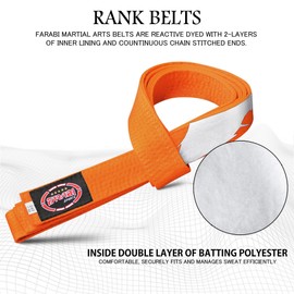 Farabi Sports Karate Belt Multiple Colors Karate Belts Judo Karate BJJ Martial arts Taekwondo belts (260-cm, Orange)