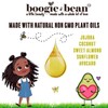 Boogie and Bean Kids Hair Products Coconut Mango Kids &