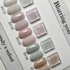 Revzel Revgel Blurring You Sand Velvet Gel Single Item /