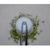 pinnaclediamonds Peridot Square Loose Faceted Natural Gem 3mm