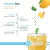 Probiotea Mango Jengibre, Añadida Con Chía 0% Zaaté Frutal