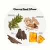 Apotheke Luxury Scented Reed Diffuser for Home, Charcoal - 6.7