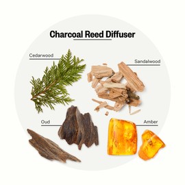 Apotheke Luxury Scented Reed Diffuser for Home, Charcoal - 6.7 Fl Oz Essential Oil Aromatherapy - 10 Rattan Scent Sticks Room Diffuser - Long-Lasting Fragrance for Bedroom, Home, Bathroom