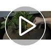 Yellow Sticky Traps for Indoor and Outdoor Pest Control -