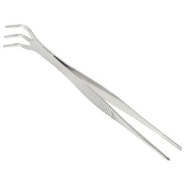 ZZLZX Straight Tweezers and Spike Rake Tool Stainless Steel Multifunctional Potting Planting Tool Potting Bonsai Succulent Dual Purpose With Tweezers Soil Tillage Tool Silver