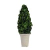Creative Co-Op Boxwood Topiary in Clay Pot