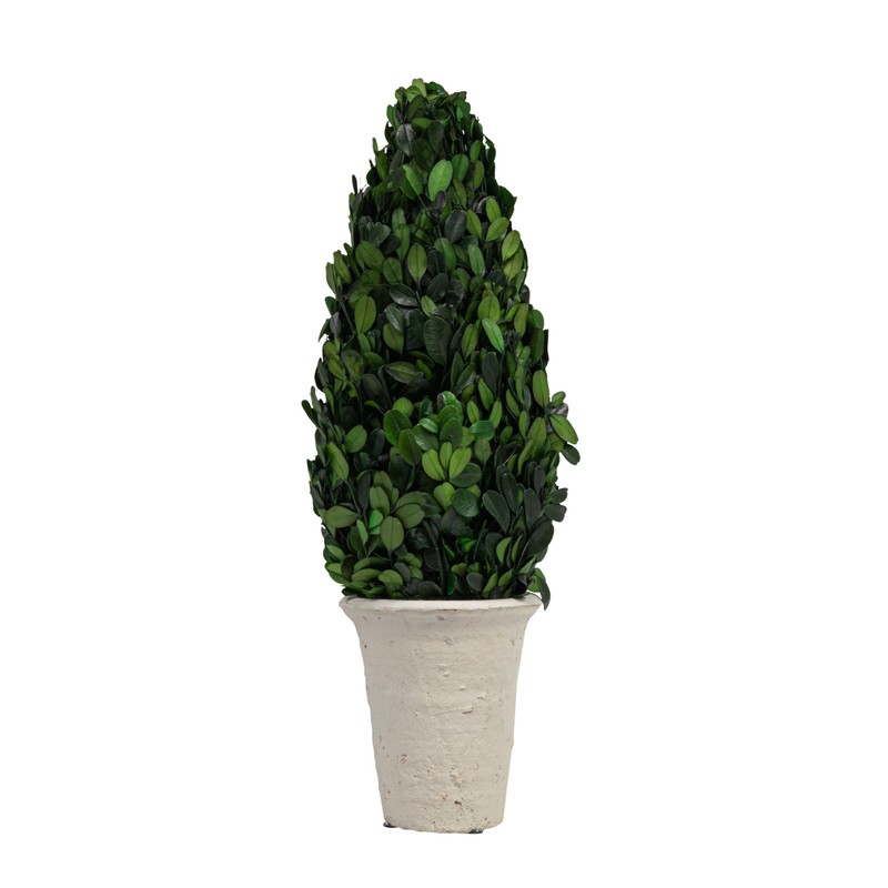 Creative Co-Op Boxwood Topiary in Clay Pot