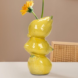 Fruit Shaped Flower Vase | Fruit Shaped Floral Container Vase | Desk Display Ornament Table Centerpieces Floral Container for Bookshelf Apartment Living Room Bedroom Offices Countertop