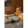 EVA SOLO Green Tools Folding Funnel, Save Space in Your