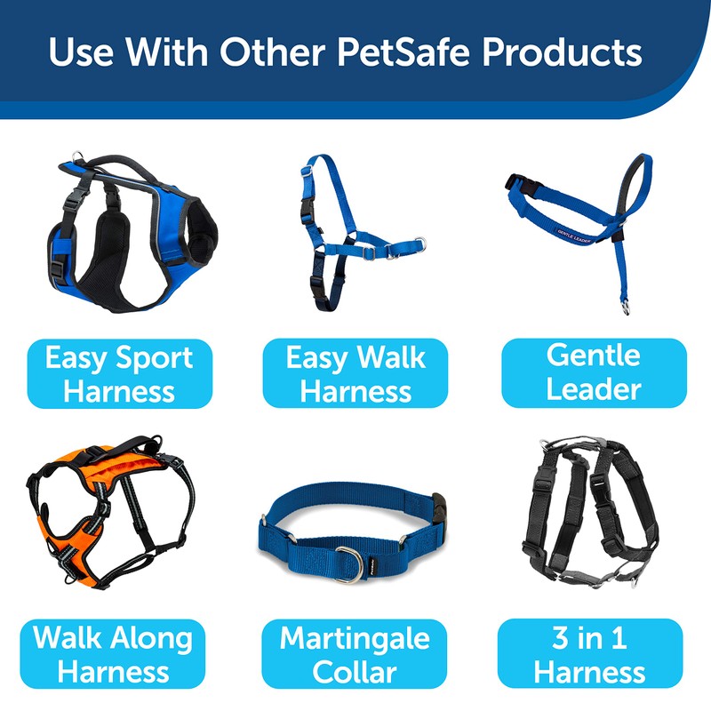 PetSafe Nylon Dog Leash - Strong, Durable, Traditional Style Leash