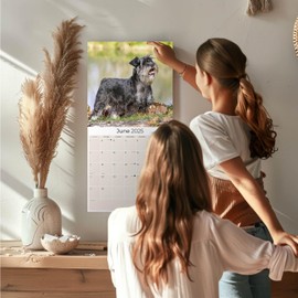 2024 2025 Miniature Schnauzer Calendar - Dog Breed Monthly Wall Calendar - 12 x 24 Open - Thick No-Bleed Paper - Giftable - Academic Teacher's Planner Calendar Organizing & Planning
