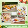 Hushee 120 Count 3 Size Disposable Cutting Board Sheets Bulk
