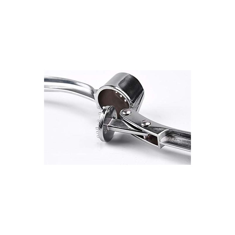Onwon Garlic Press Mashed Garlic Crusher Peeler Chopper Garlic Puree