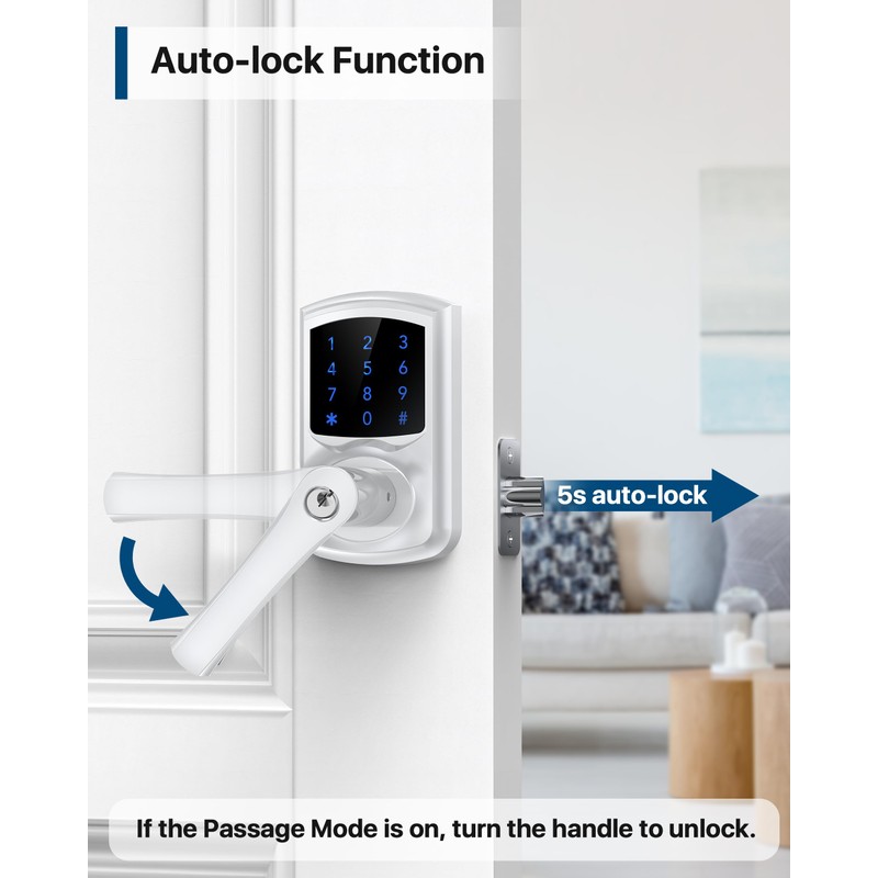 HIDALIFE Keyless Entry Door Lock with Keypad and Handle for