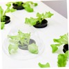 Levemolo 50pcs Transparent Hydroponic Plant Moisturizing Lids Insulation Covers for