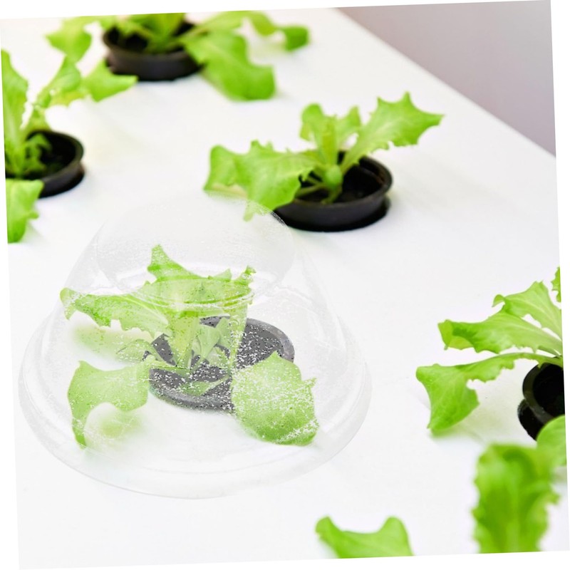 Levemolo 50pcs Transparent Hydroponic Plant Moisturizing Lids Insulation Covers for