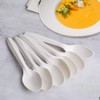Eco-Friendly Compostable Spoons 150 Pieces Disposable Spoons Made from Starch