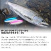 DAIWA W-SBL Chinook S Lure, 0.5 oz (14 g)