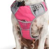 EveryYay Front Walking Reflective Dog Harness, Pink, Medium